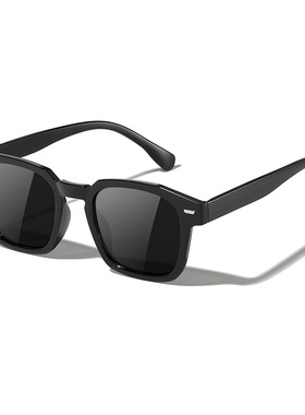 网红款isn海洋片墨镜男士潮韩版