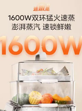 美的蒸炖一体锅电蒸锅多功能