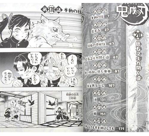 现货 进口日文 漫画 鬼灭之刃 鬼滅の刃 20 - 图1