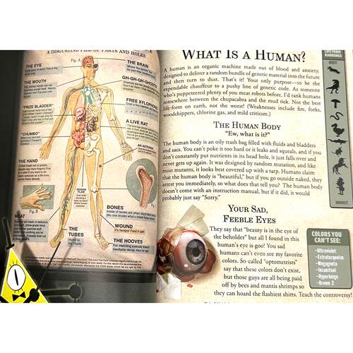 预售 比尔之书限量收藏版 Gravity Falls 怪诞小镇系列小说 亚历克斯·赫什 The Book of Bill 英文原版 Alex Hirsch - 图3
