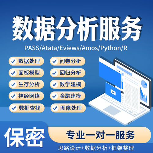SPSS数据分析服务eviews实证stata调查问卷meta医学amos统计R代做 - 图3