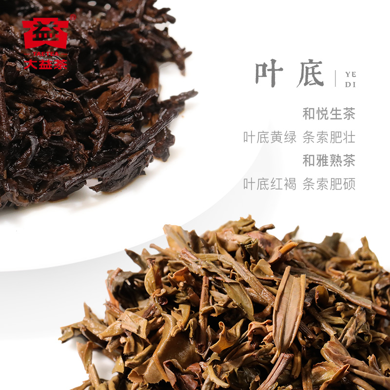 大益普洱茶和悦和雅生熟组合357g*2饼礼盒云南勐海茶叶过年送礼-图2