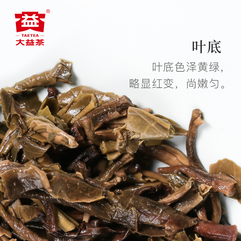 大益普洱茶7542经典标杆生茶200g云南勐海七子饼茶叶送礼旗舰店 - 图2