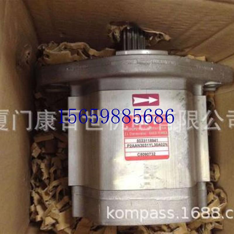 议价供应 HPI齿轮泵P1BAN1006CL10B01N液压泵/油压泵议价 - 图0