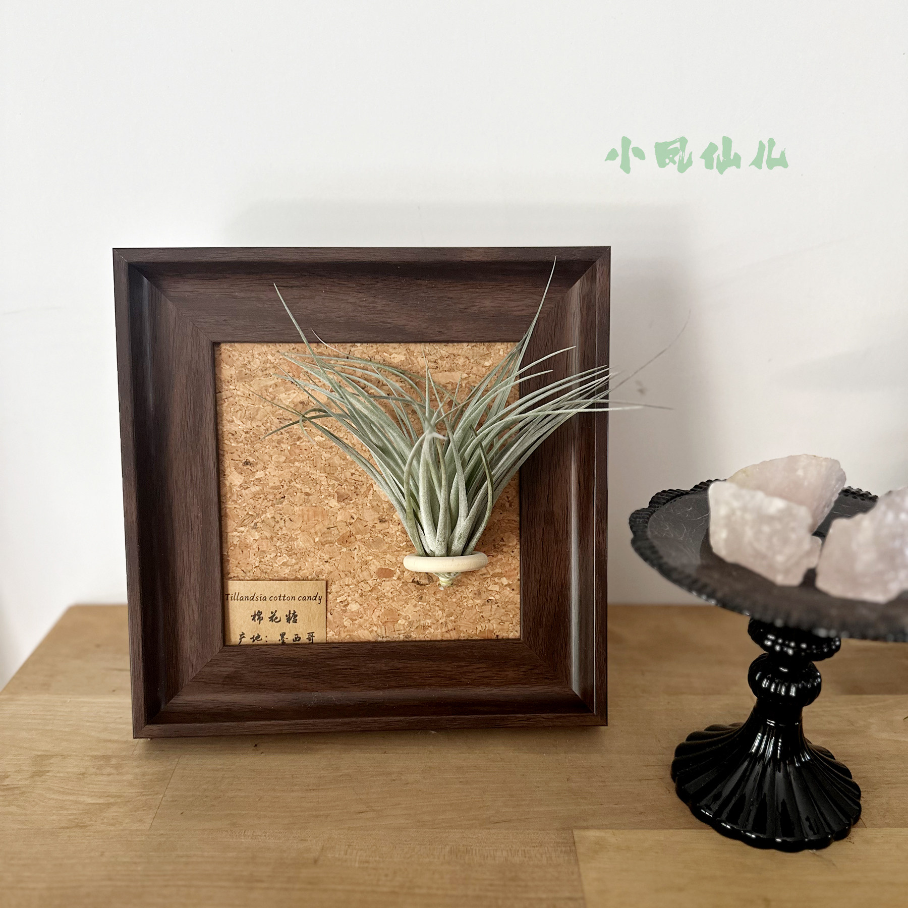 小凤仙儿空气凤梨磁吸装饰画框复古桌面墙上深棕色相框6寸送礼,淘宝优惠券,粉丝福利购,淘宝优惠卷