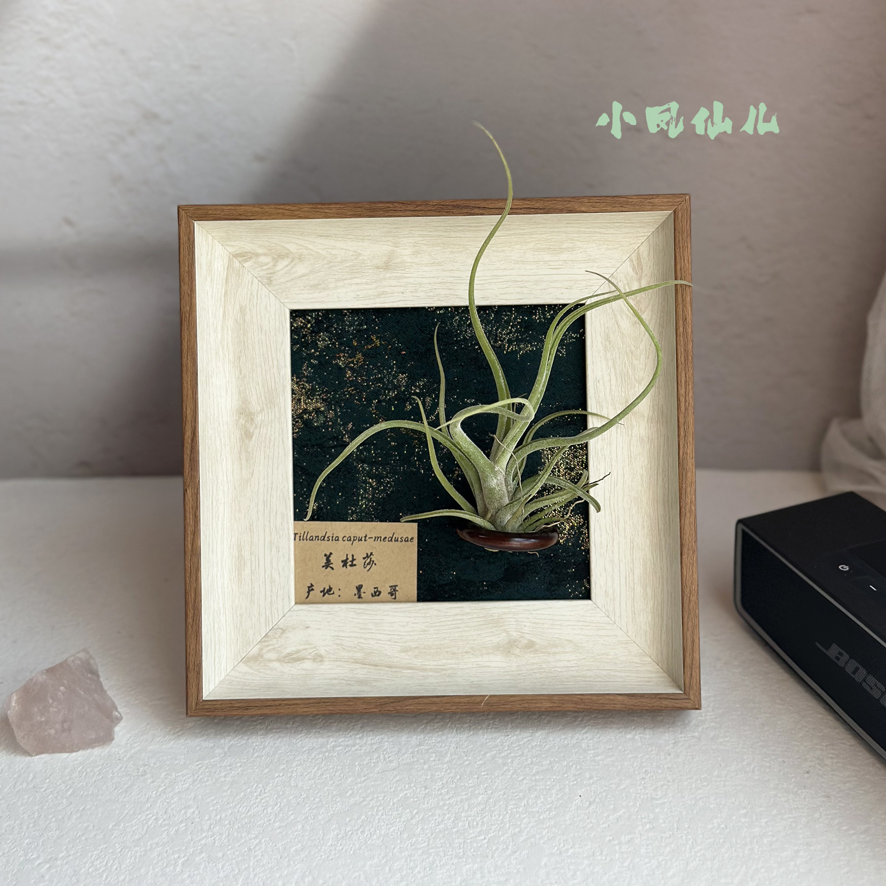 ins空气凤梨套餐懒人现代装饰画框复古桌面室内墙上白木色相框5寸,淘宝优惠券,粉丝福利购,淘宝优惠卷