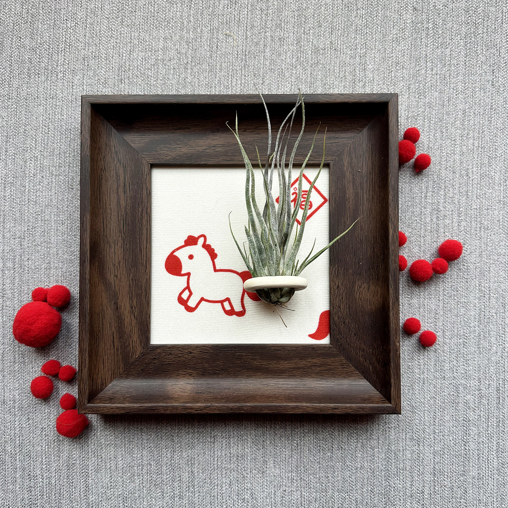 小凤仙儿空气凤梨套餐懒人画框桌面墙上深棕色相框5寸马年新年款,淘宝优惠券,粉丝福利购,淘宝优惠卷