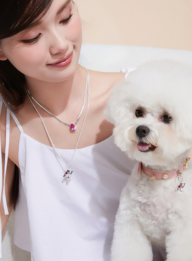 ParanoidPuppy纯银女DIY项圈