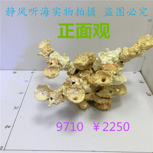 P牌法国培菌生态造景石9710 9720免暴藻送sps货缸原水含海量菌种 - 图0