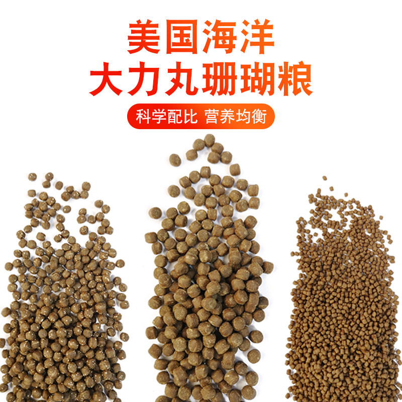 美国海洋 新品大力丸脑类珊瑚粮 海葵粮小颗粒lps 混合粉末珊瑚粮