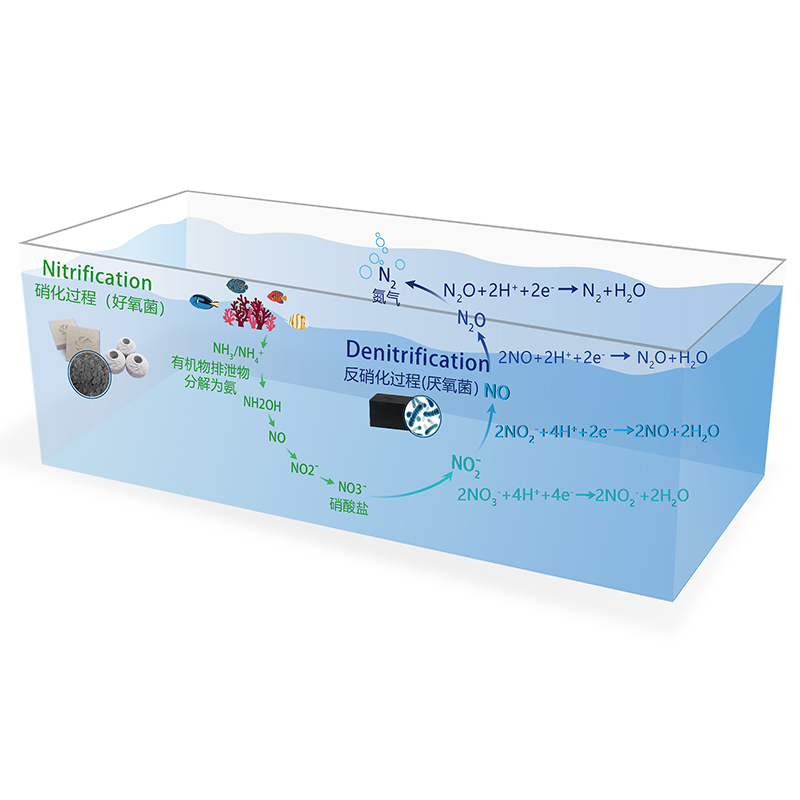 迈光纳米砖鱼缸滤材反硝化砖催化片除NO3培菌神砖淡海水 - 图1