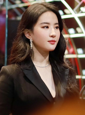 气质轻奢长款锆石耳环耳夹无耳洞女新娘礼服耳环圆脸显瘦高级感潮