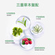 Fupei Silk White Tea Official Oil Mixed Skin