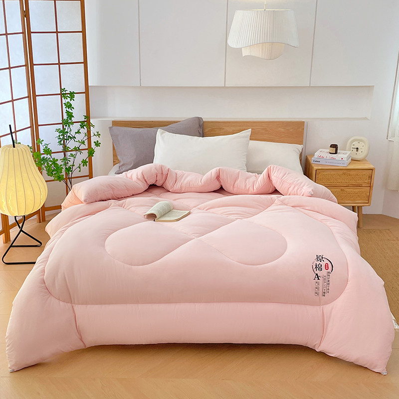水洗棉大豆纤维被子冬被棉芯加厚保暖春秋四季通用宿舍被冬季 水洗棉大豆纤维被子冬被棉芯加厚保暖春秋四季通用宿舍被冬季