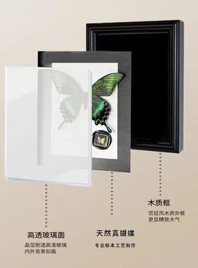 真蝴蝶标本相框高端木质装饰画家居摆件欧式复古相框摆台生日礼物