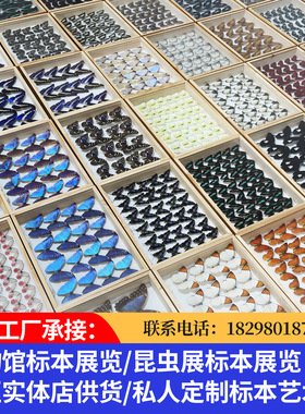 天然真蝴蝶动物标本玻璃球家居装饰摆件高级送女朋友闺蜜生日礼物