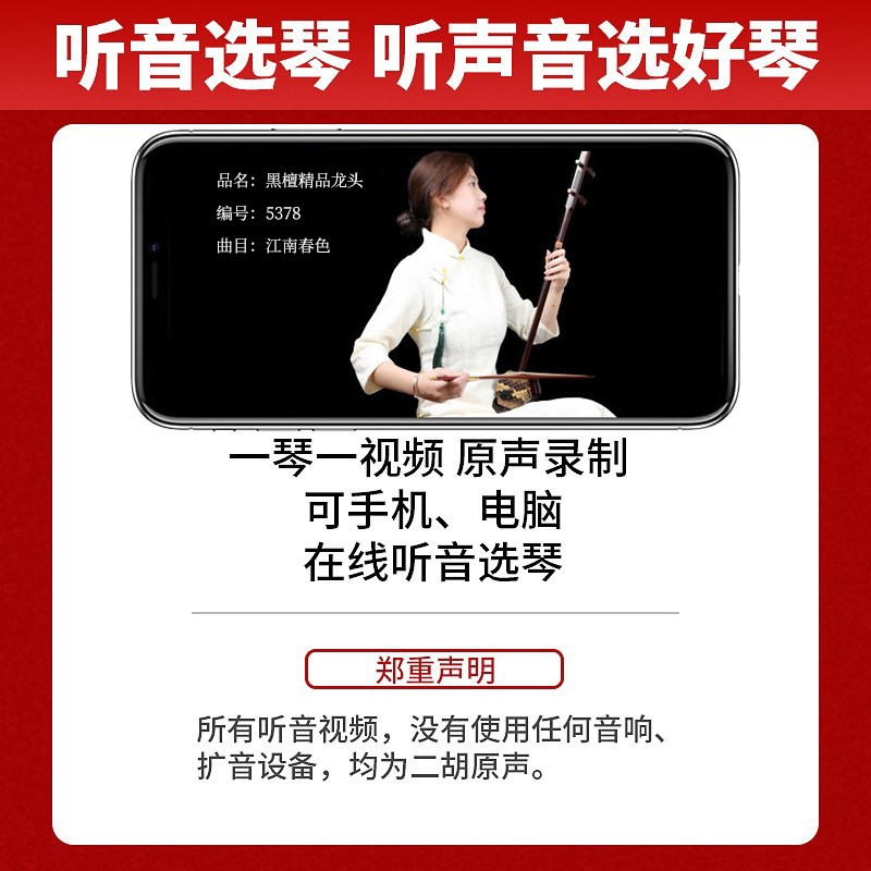  大音乐器二胡