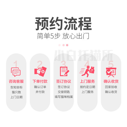 北京宠物上门喂猫遛狗猫咪洗澡剃毛家庭寄养托管驱虫陪护剪指甲 - 图2