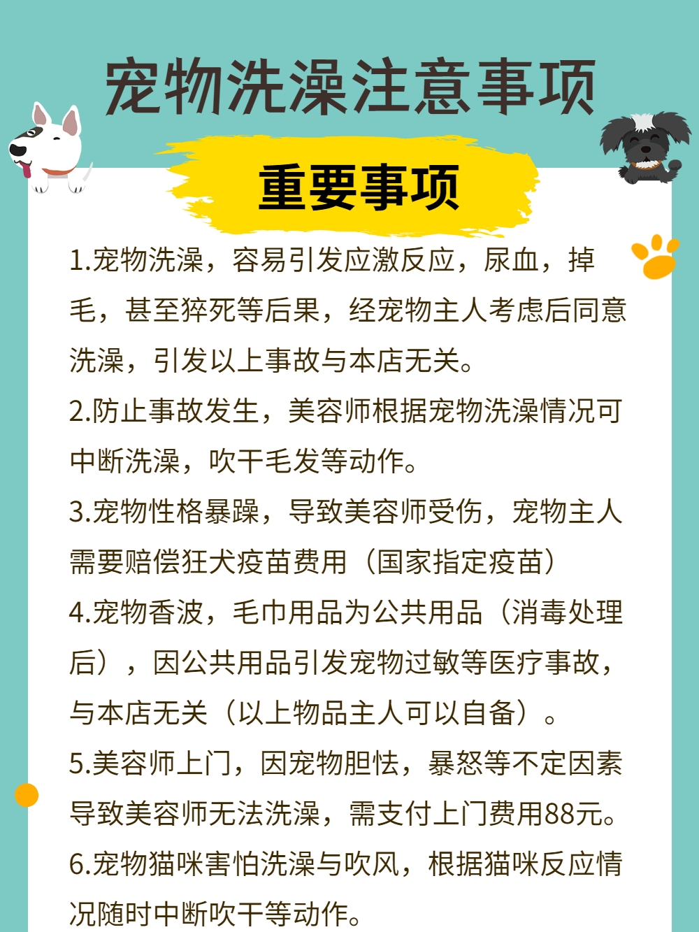 北京猫咪上门洗澡剃毛喂猫遛狗陪护照顾剪指甲寄养驱虫宠物服务 - 图0