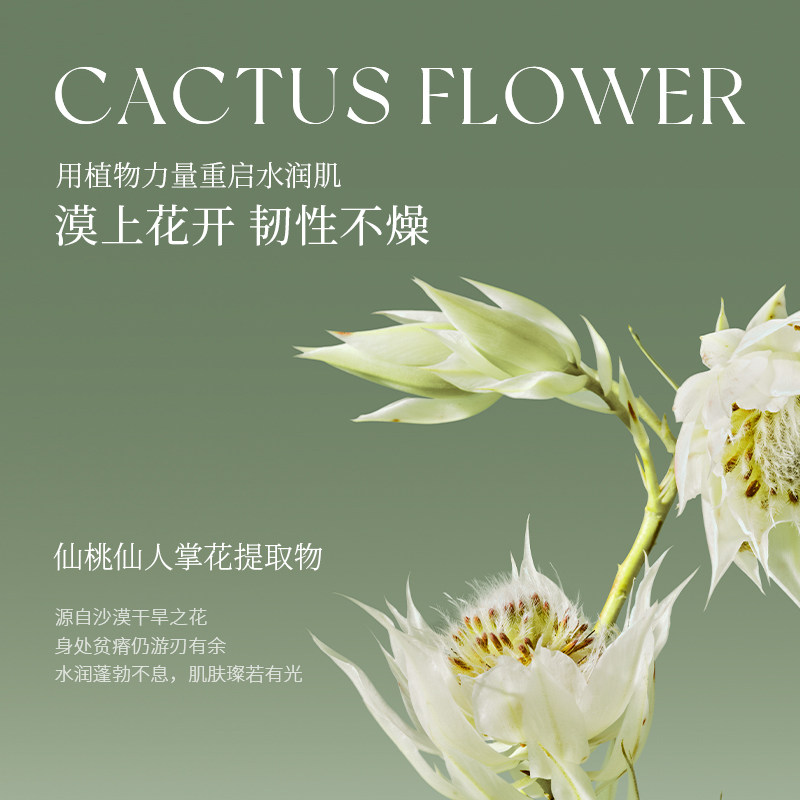 mcl花皙蔻仙人掌保湿维稳洁面水乳 花皙蔻面部护理套装