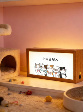 小猫主理人发光灯箱可爱氛围灯治愈小猫发光相框双面木质发光灯箱