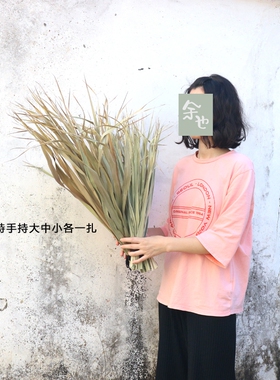 棕榈叶子蒲扇干花大蒲葵叶森系花店陈列软装拱门婚庆装饰场景布置