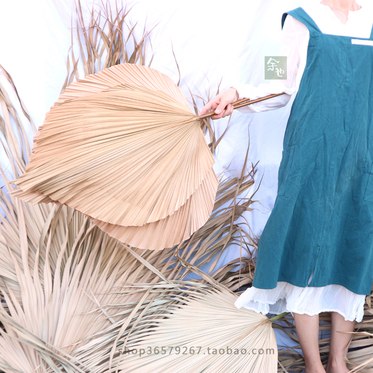 新鲜棕榈树叶蒲葵叶扇形背景北欧婚庆会展布景葵扇叶商场场景拱门 - 图2