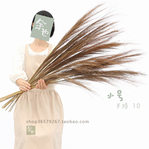 芦苇蒲苇干花婚纱店橱窗摆件婚礼婚庆现场道具装饰书店客栈文艺 - 图2
