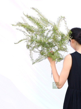 diy材料客厅森系婚庆造景干花