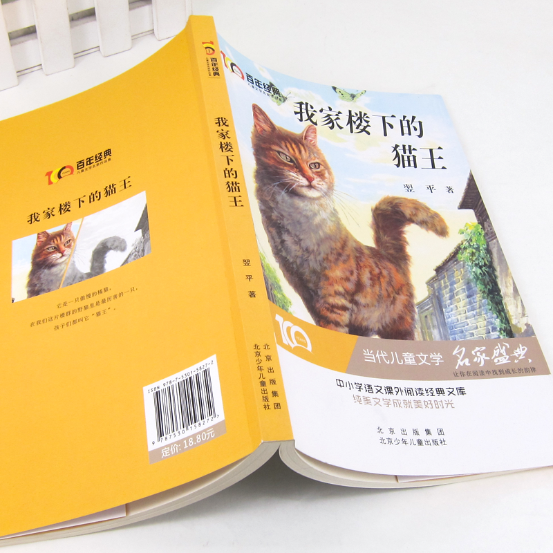 我家楼下的猫王/百年经典儿童文学名家作品集-图0