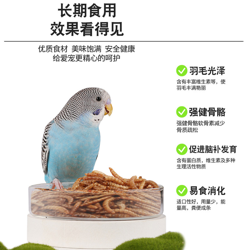 面包虫干仓鼠鸟食八哥乌龟芦丁鸡鹦鹉鱼食龟粮黄粉虫袋装批发大号,淘宝优惠券,粉丝福利购,淘宝优惠卷