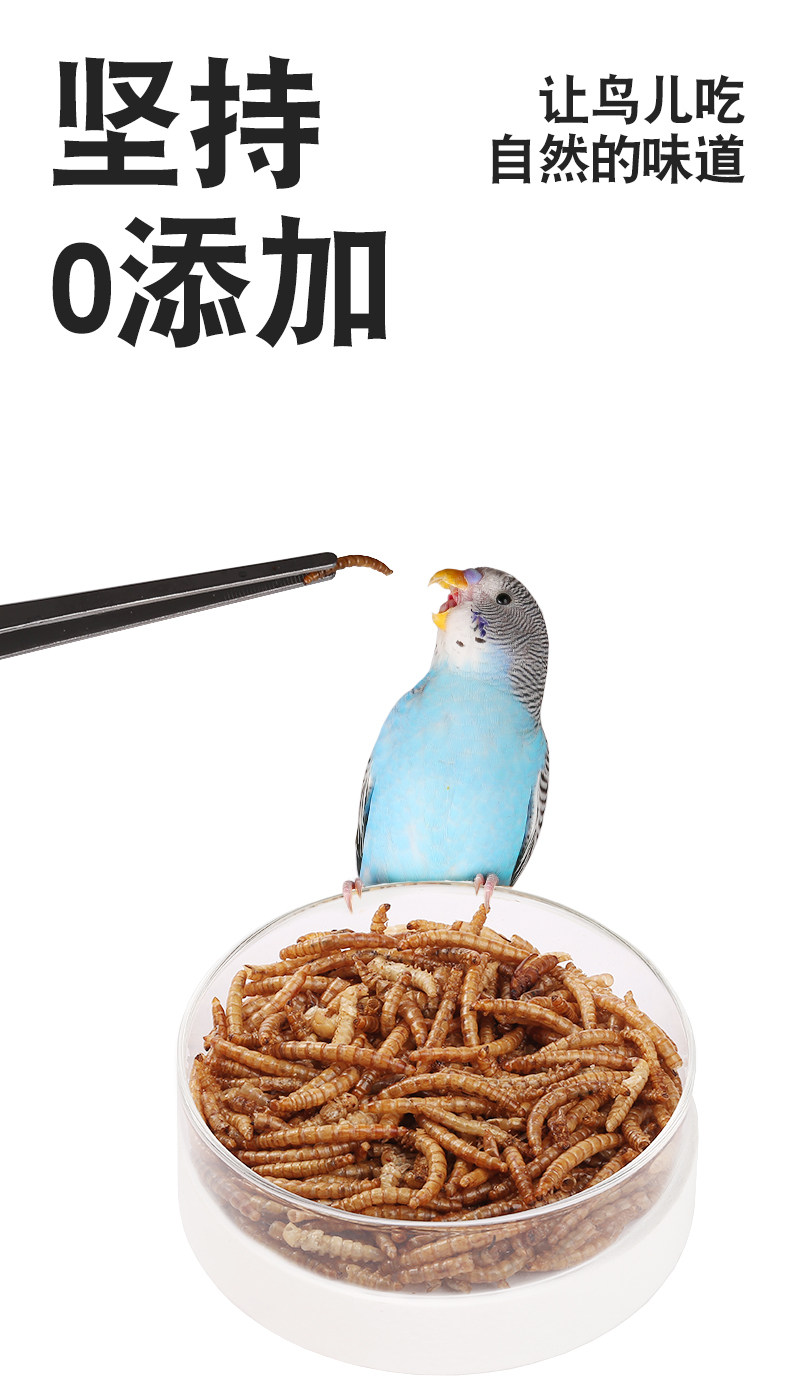 面包虫干仓鼠鸟食八哥乌龟芦丁鸡鹦鹉鱼食龟粮黄粉虫袋装批发大号,淘宝优惠券,粉丝福利购,淘宝优惠卷