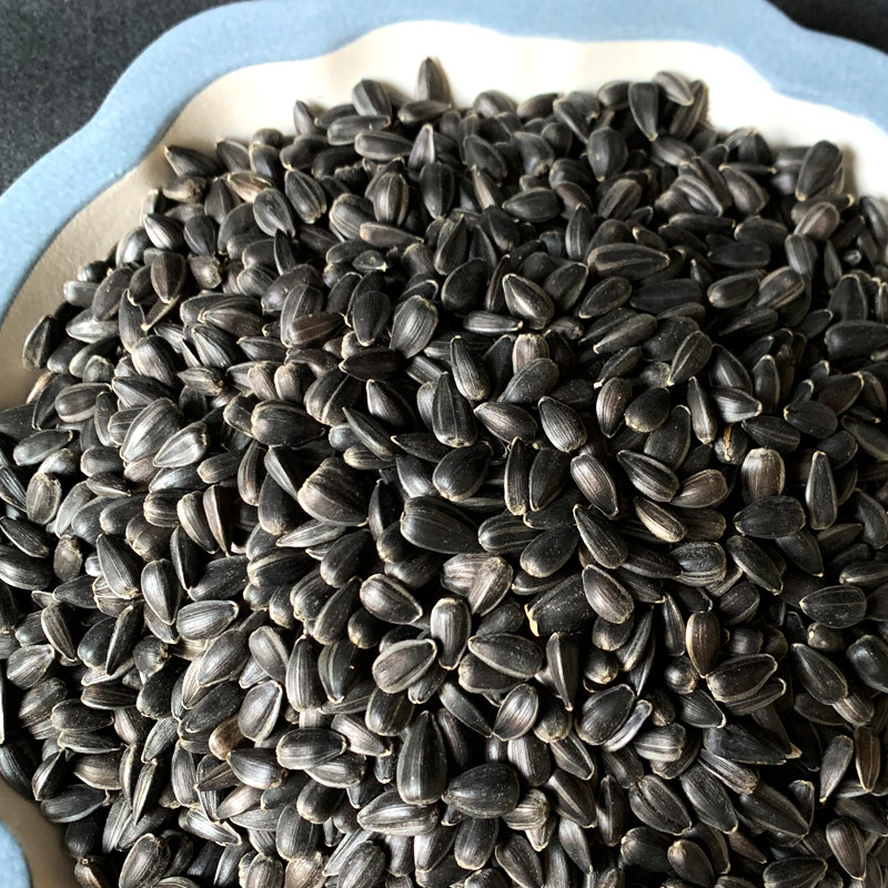 生黑珍珠小瓜子 生葵花子油葵籽 鸟食仓鼠金丝熊零食鸟粮鸽粮,淘宝优惠券,粉丝福利购,淘宝优惠卷