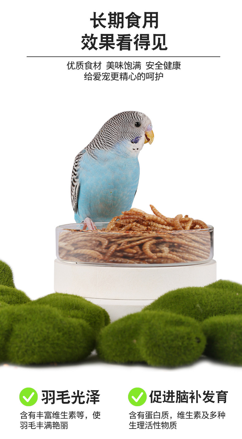 面包虫干仓鼠鸟食八哥乌龟芦丁鸡鹦鹉鱼食龟粮黄粉虫袋装批发大号,淘宝优惠券,粉丝福利购,淘宝优惠卷