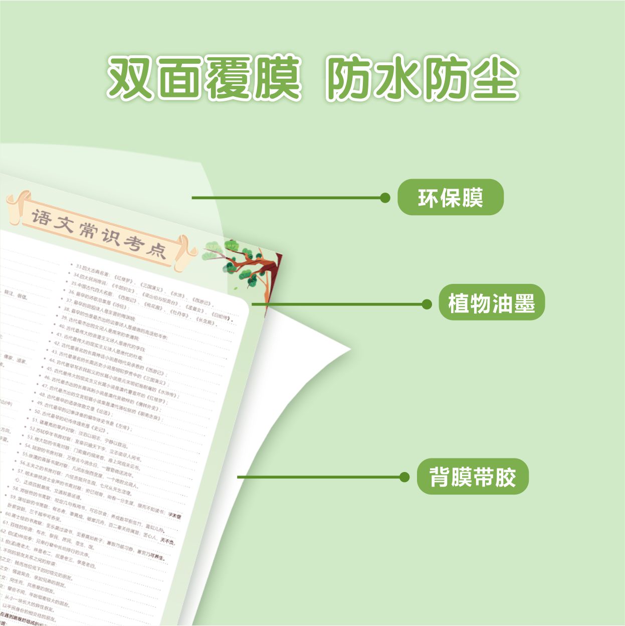 小学语文必备文学常识小升初必背高频考点语文知识点题库挂图墙贴 - 图2