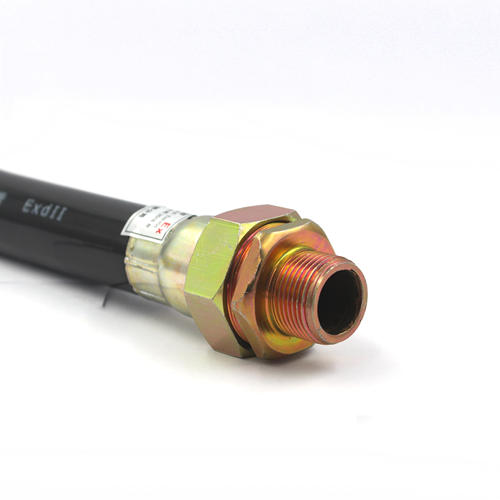 BNG防爆管软管4分防爆挠性管穿线管DN15 DN20防爆挠性连接管定制 - 图0
