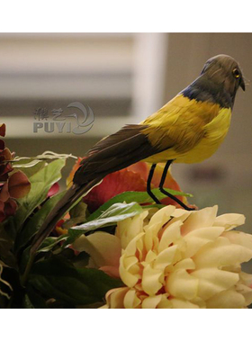 仿真蓝冠躁鹛摆件真羽毛摄影道具