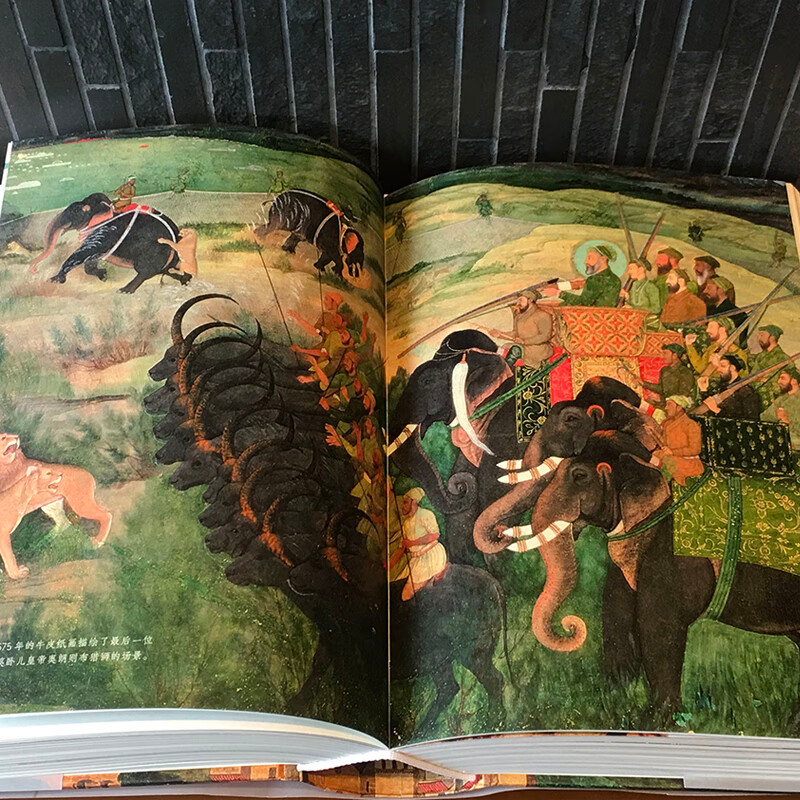 历史：地图上的世界简史（纸箱装 喷绘刷边版）,淘宝优惠券,粉丝福利购,淘宝优惠卷