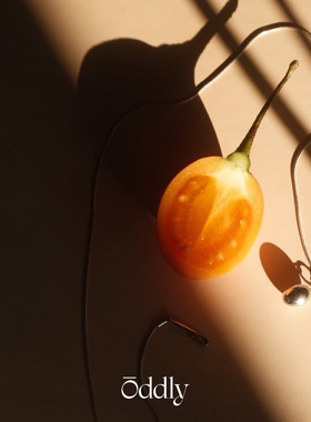 oddly 鸡蛋吊坠项链新款镀金吊坠锁骨链女夏小众高级感原创设计