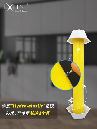 小飞虫诱捕器除卫生间飞蛾EXPEST捕捉苍蝇室内家用粘蝇纸蛾蚋星 - 图2