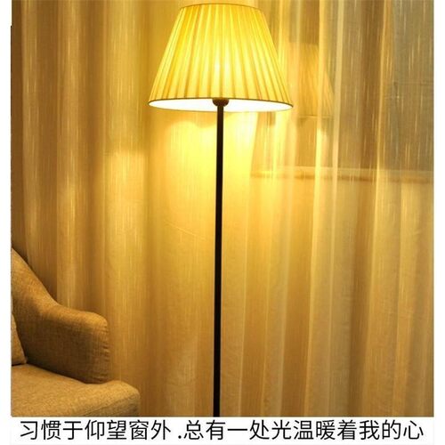 落地灯客厅沙发旁边卧室头灯现代简约主卧房间装饰氛围立式台灯 - 图3