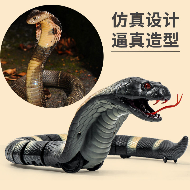 网红遥控蛇仿真眼镜蛇解压吓人整蛊儿童成人动物同款玩具,淘宝优惠券,粉丝福利购,淘宝优惠卷
