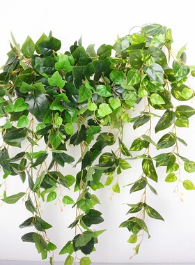 仿真壁挂绿萝叶幼儿园缠绕植物角