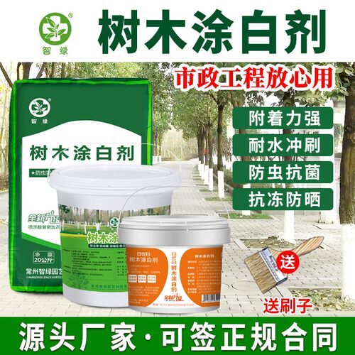 大树涂白剂果树防虫防冻树木刷白树干抗病防寒杀菌防霜冻石灰粉 - 图2