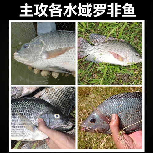 战神冷冻饵料罗非专用冻饵专攻黑坑野钓罗飞大福寿小药冰鲜赤尾青 - 图2