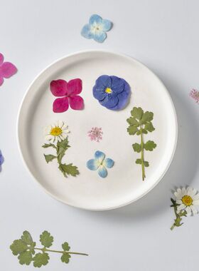 干花押花滴胶手工材料包