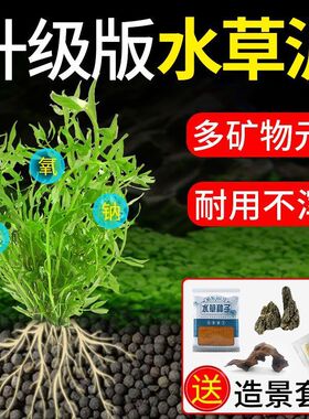 水草泥生态底砂425154