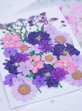 干花压花材料包手工DIY