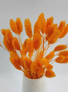 天然干花永生花插花道具
