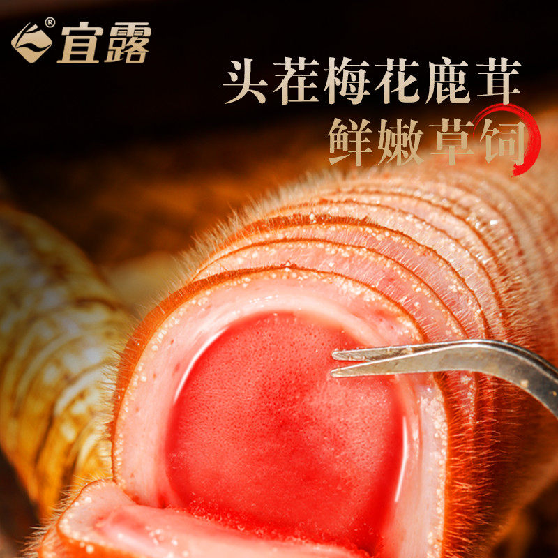 宜露梅花整枝整根500g正品鲜鹿茸 宜露滋补养生鹿茸枝